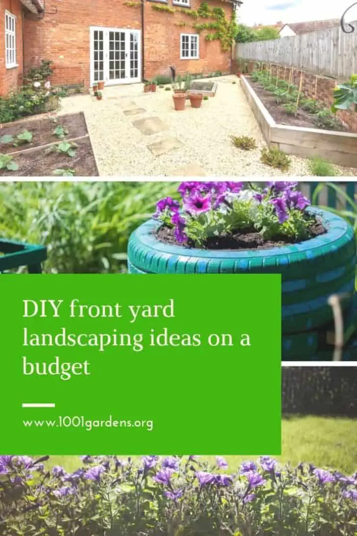 DIY front yard landscaping ideas on a budget 11 - plants